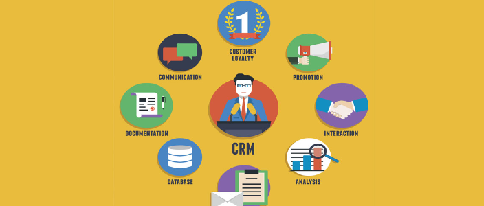 Maximizing CRM Potential